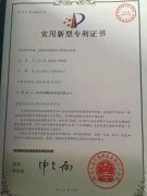 專(zhuān)利技術(shù)